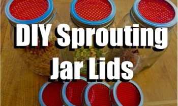 How to Make a DIY Sprouting Jar Lid for Under 10 Cents  // Growing Your Indoor Garden EXTRA