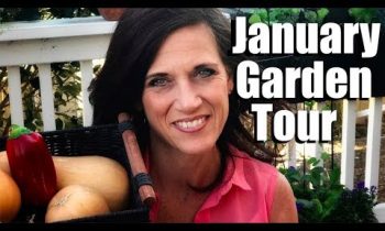 January Garden Tour & Updates on Garlic, Lettuce & Flower Tower, Edible Deck Containers